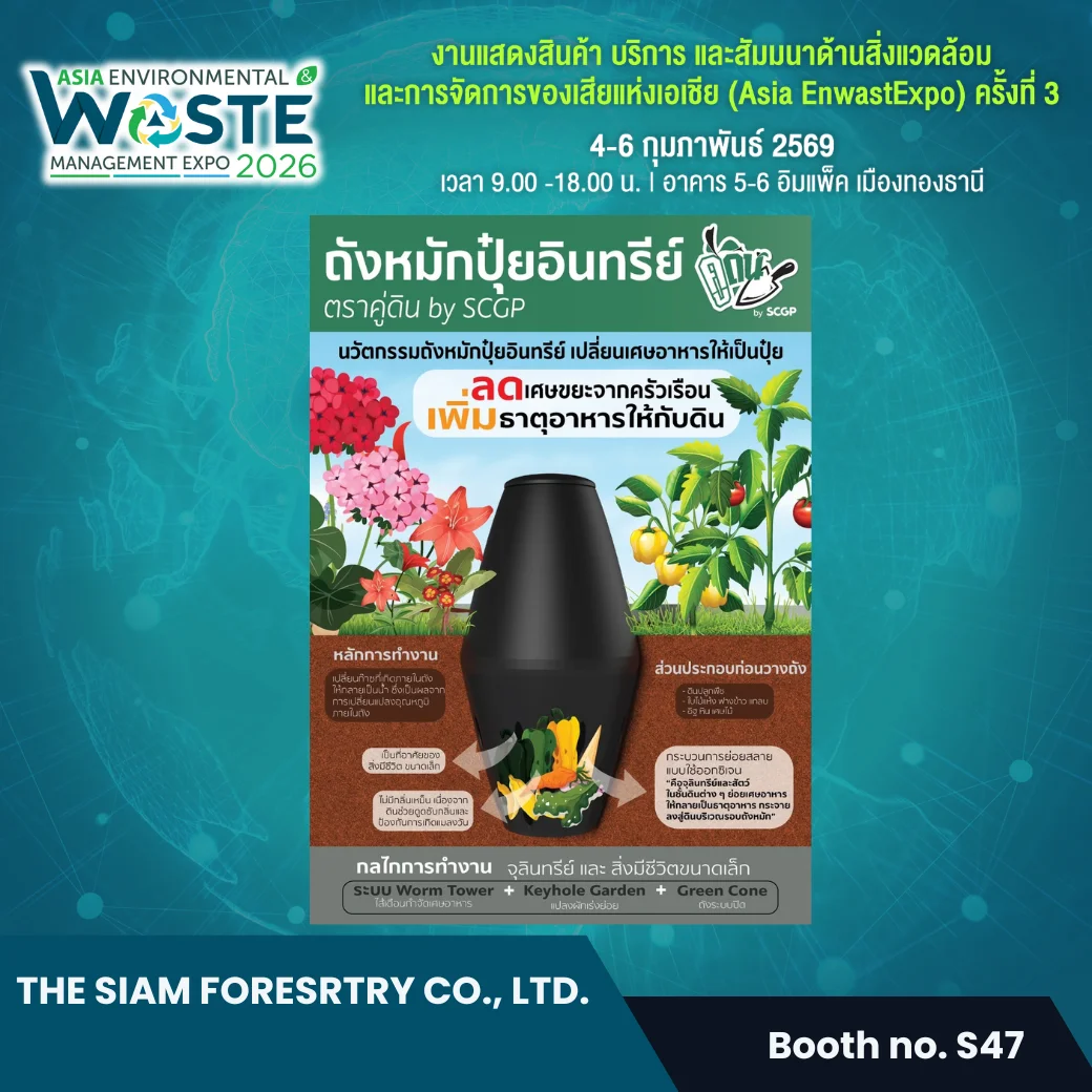 The Siam Foresrtry Co., Ltd. - Image 2